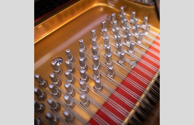 Challen Polished Ebony GP142 Grand Piano, Used - All Inclusive Premium Package (SN:955238) - Image 12